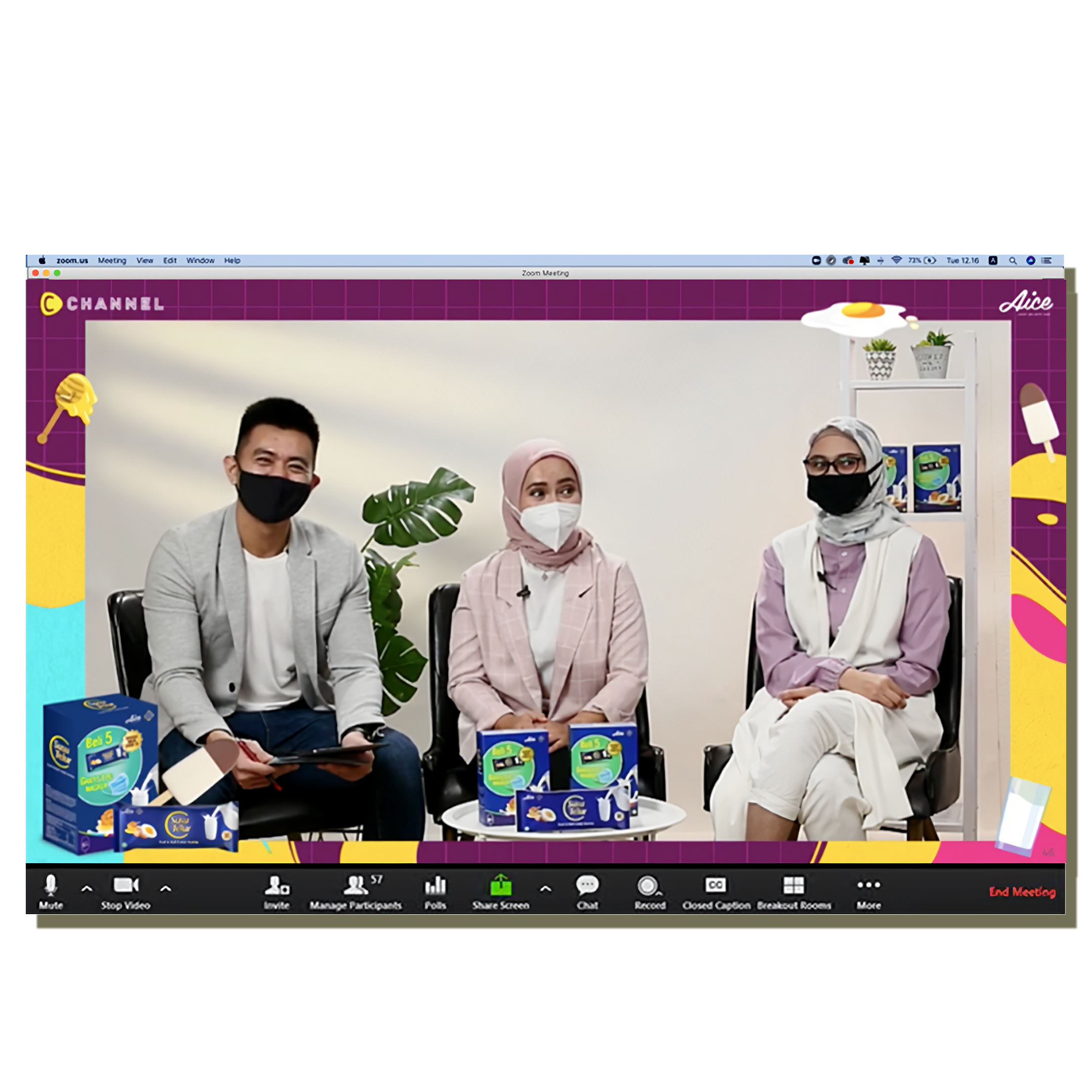 Webinar servis